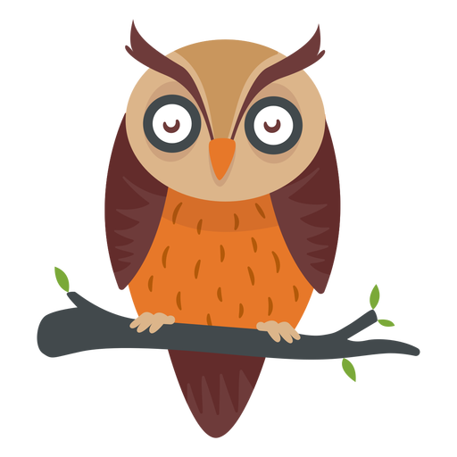 owl